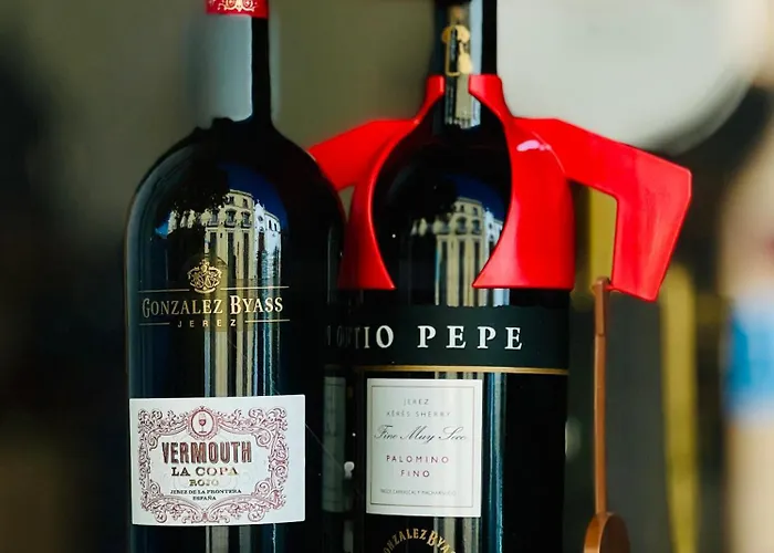 La Terraza De Porvenir 10 - *