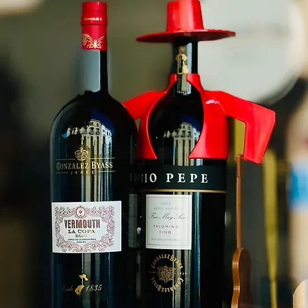 La Terraza De Porvenir 10 - *