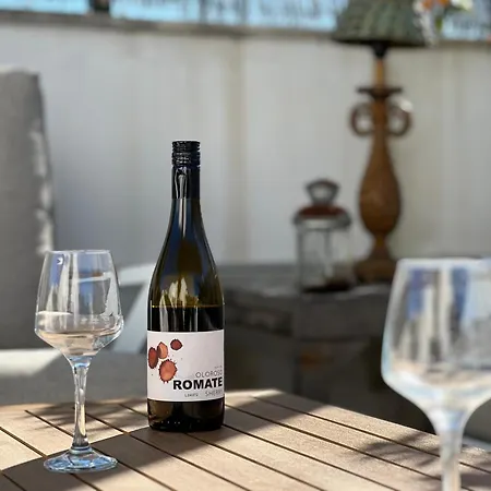 La Terraza De Porvenir 10 - *