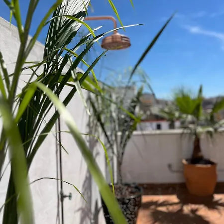 La Terraza De Porvenir 10 -