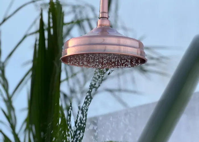 La Terraza De Porvenir 10 - *